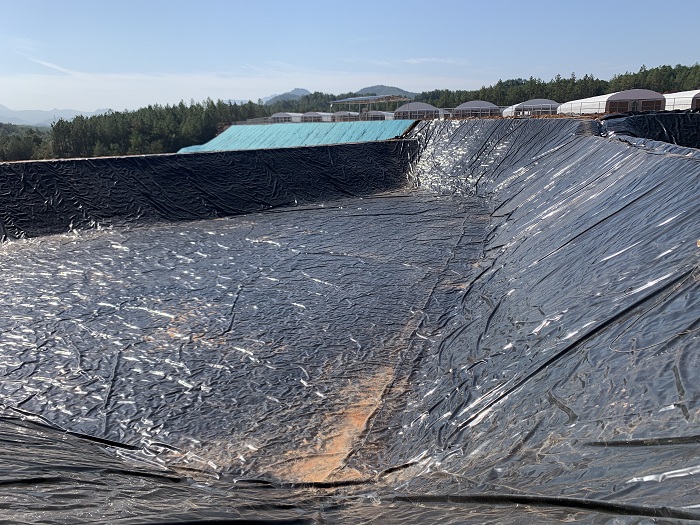 江西氧化塘黑膜沼氣池工程案例